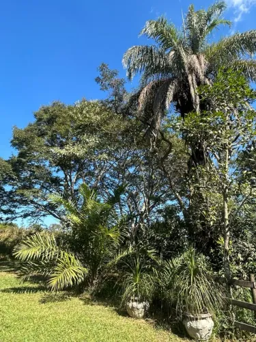 SÍTIO 22 HECTARES EM LAGOA DOURADA