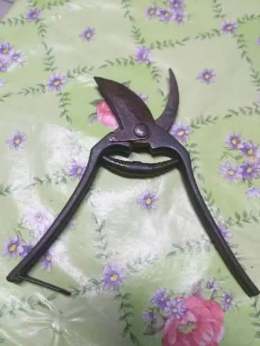Tesoura de poda Eberle