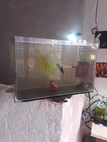VENDA DOS AQUARIOS E UM AQUALAGO