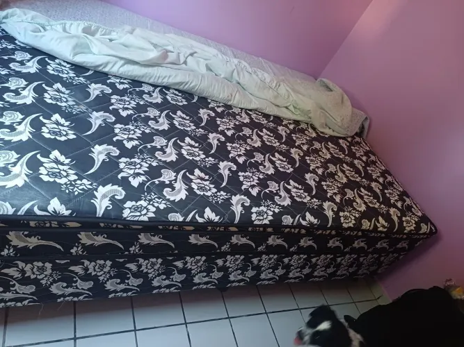 Cama box