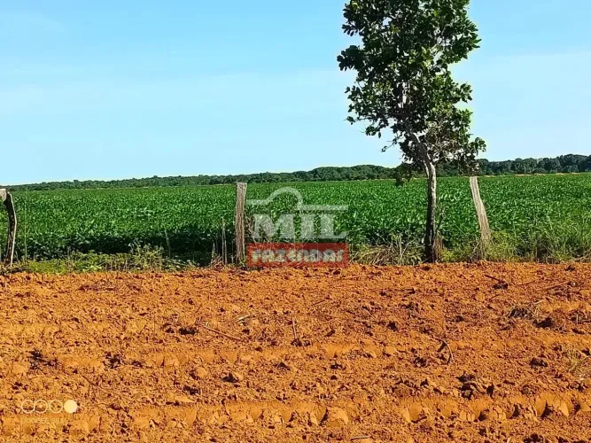 Fazenda 141 alqueires (682,44 hectares) Santa Rita do Tocantins - TO