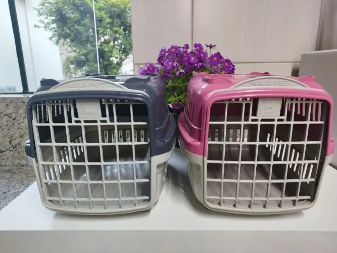Gaiolinha para transportar pets