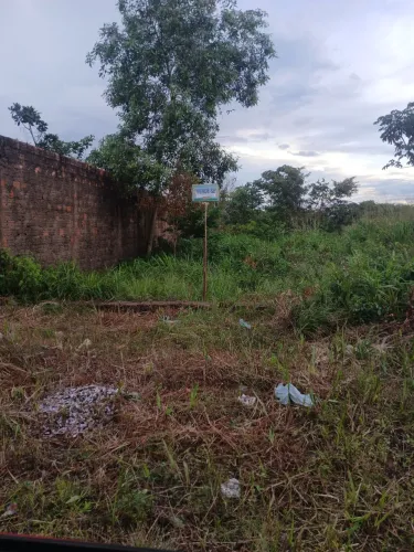 Terreno 11×100