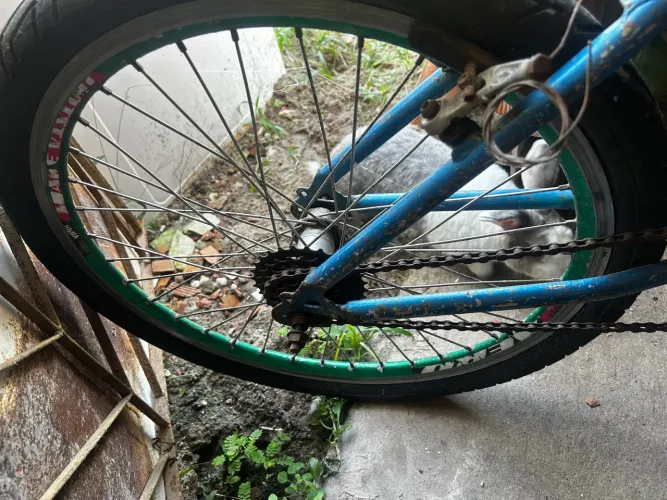 Bike aro 24