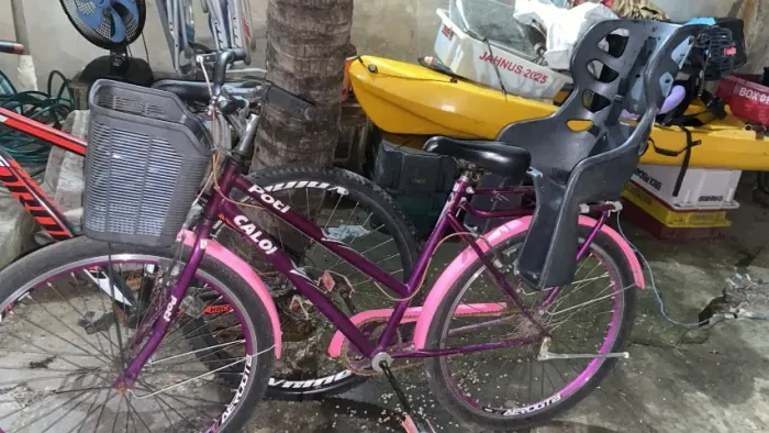 Bicicleta 