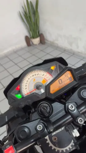 Z300 2019
