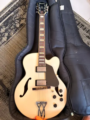 Ibanez AF75 Custom