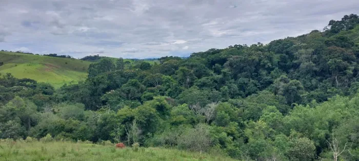 Sítio em Cunha/SP no Bro Jardim - 11,49 ha (4,74 alqueires) com água e vista privilegiada