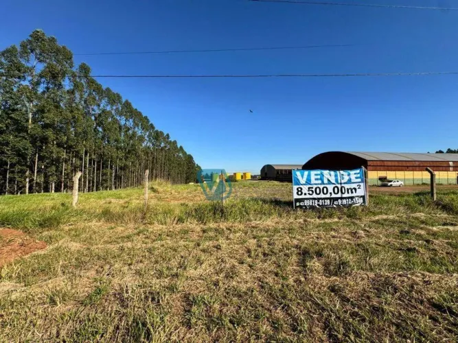 Terreno à venda, 8500 m² por R$ 200.000,00 - Centro - Porecatu/PR