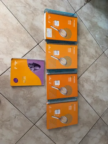 Livros Sistema Eleva 4 ano 