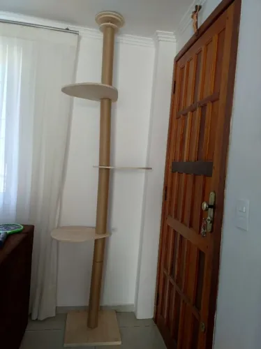 ARRANHADOR GATOS