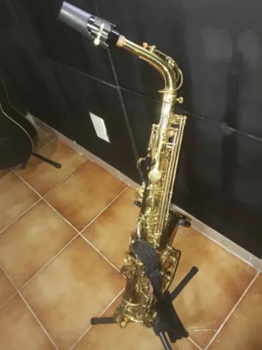 Sax Alto Schelter