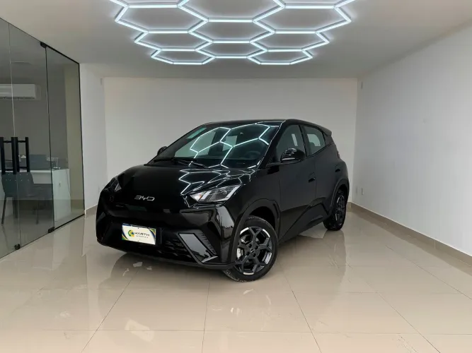 BYD Dolphin Mini (Elétrico) 2027