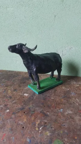 Bufalos miniatura do marajó