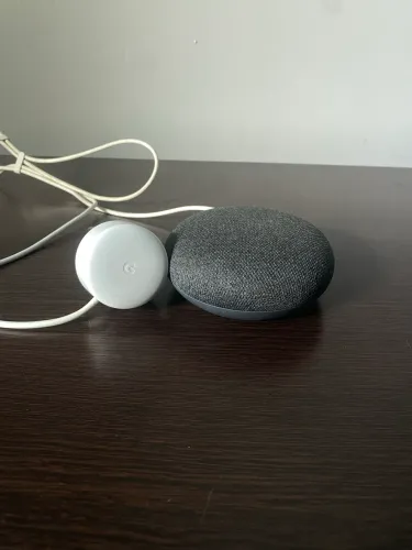 Google Home Mini