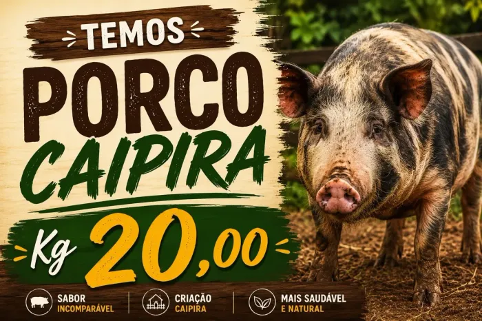 Porco caipira 