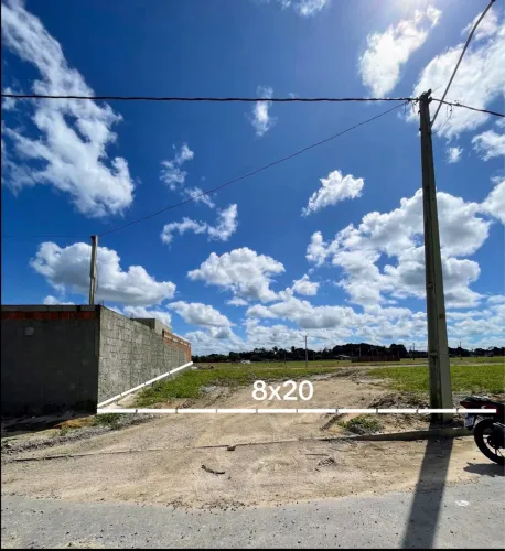 LOTE 8x20