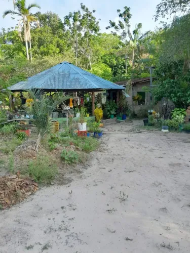 Chácara com igarapé
