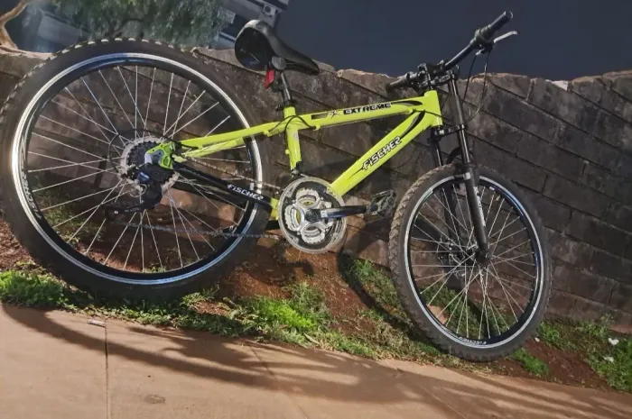Bicicleta