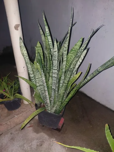 Vende-se