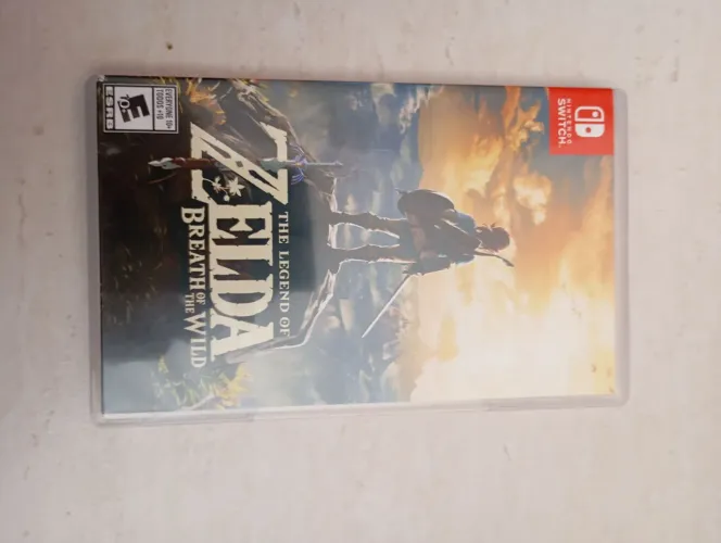 The Legend of Zelda: Breath of the Wild usado