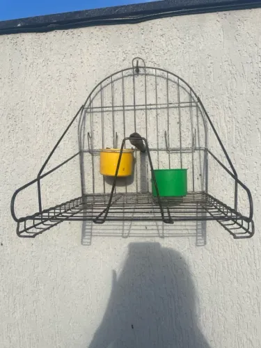 Gaiola para passarinho aberta 
