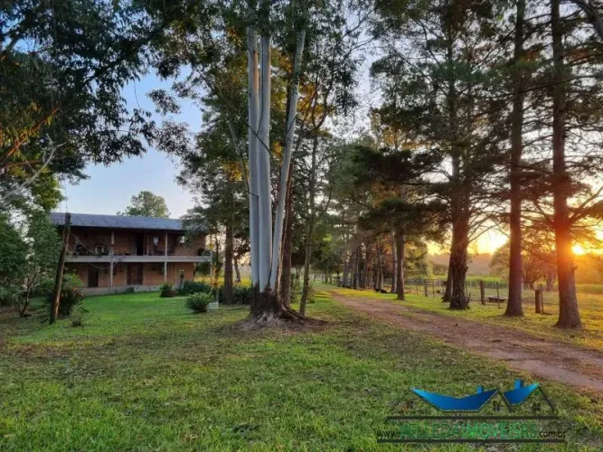 Velleda oferece magnífico campo, viva próximo da cidade e comece sua criação de gado hoje!