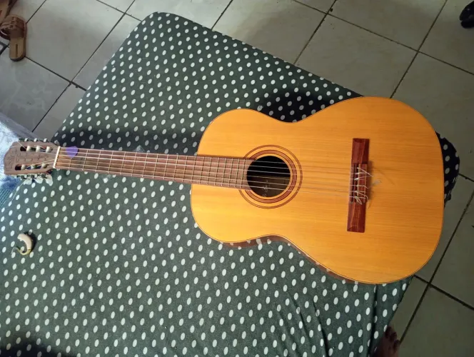 Violao