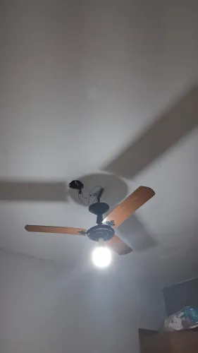 Ventilador de Teto (Leia a descrição)