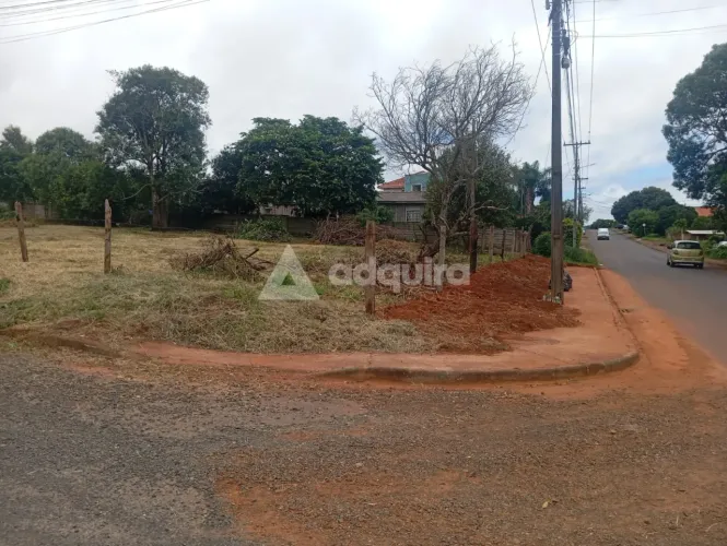 Terreno de Esquina à Venda - Bairro Cará-Cará I Ponta Grossa/PR