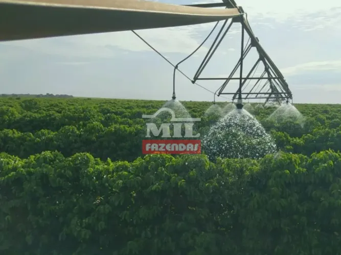 Fazenda 4.760 Hectares em Unaí - MG