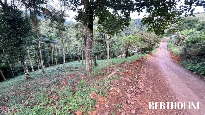 Lote à venda com 1.434,54 m² no Alto Penedo