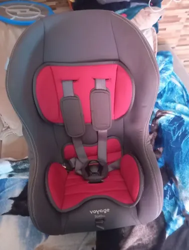 Cadeirinha de carro