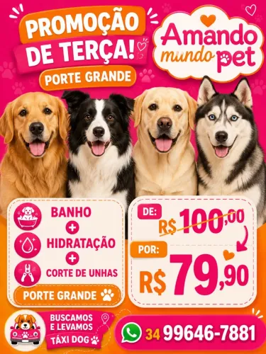 Banho Pet Shop Amando Mundo Pet 