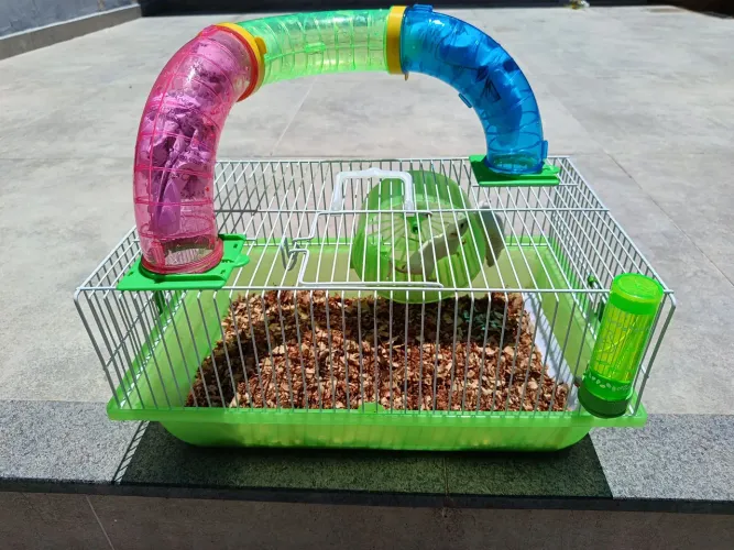 Gaiola de hamster, com um casal de topolino