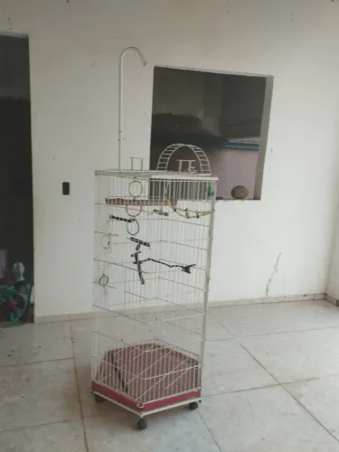 Gaiola para calopsitas