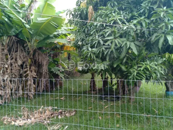 Fazenda / Sítio / Chácara à venda Avenida José Garibaldi, Passo do Vigário - Viamão