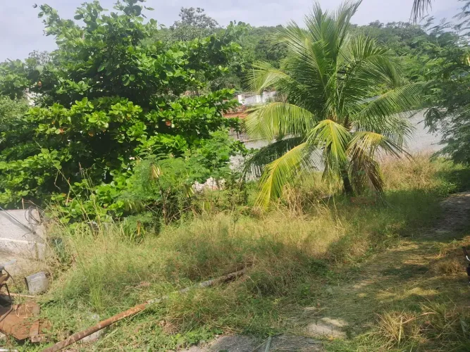 Limpeza de terrenos/reforma de portão/pintura de paredes/ limpeza de caixa d' água