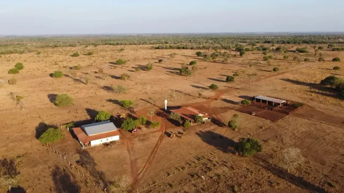 Fazenda de Dupla Aptidão em Araguaçu - TO 1.320 alqueires (6.388 hectares)