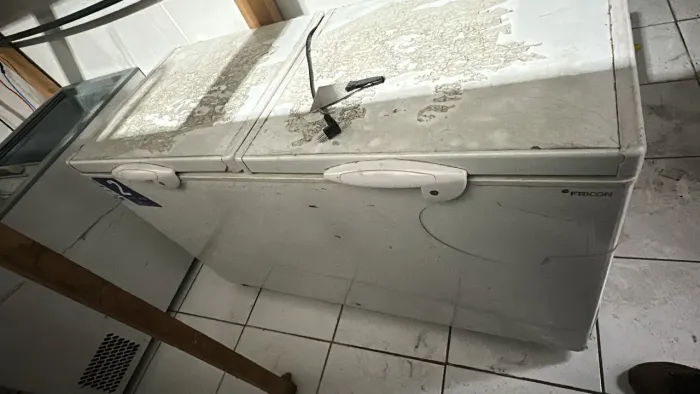 Freezer horizontal