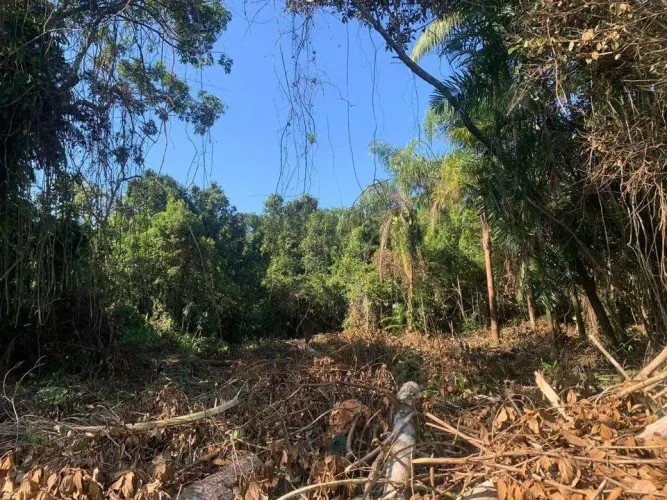 Terreno para Venda em Itanhaém, Balneário Gaivotas
