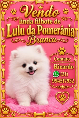 Filhotes de Lulu da Pomerânia