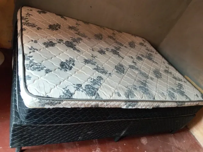 Cama
