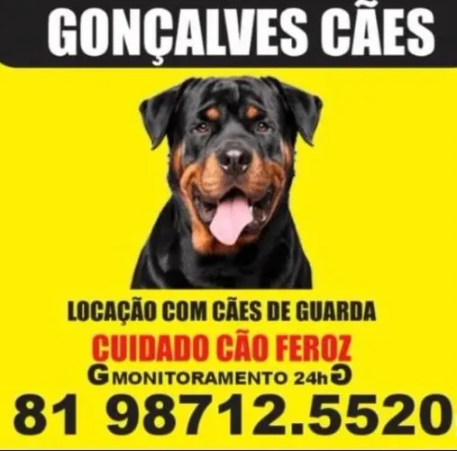 Locação de cão de guarda