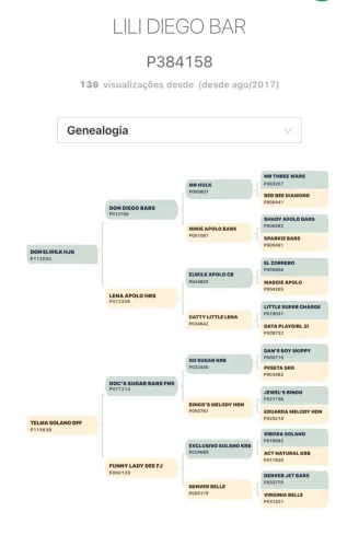 Égua Matriz Don Diego Bar