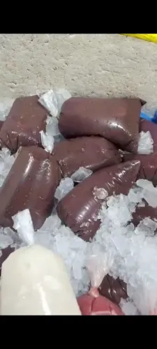 Poupas de frutas