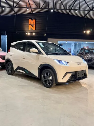 BYD Dolphin Mini (Elétrico) 2027