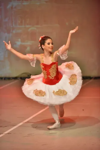 Tutu de ballet clássico (Aceito proposta) 