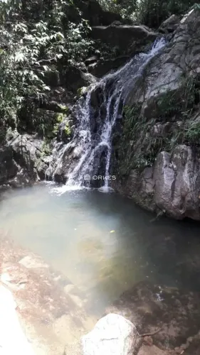 FAZENDA 43,5 ALQUEIRES