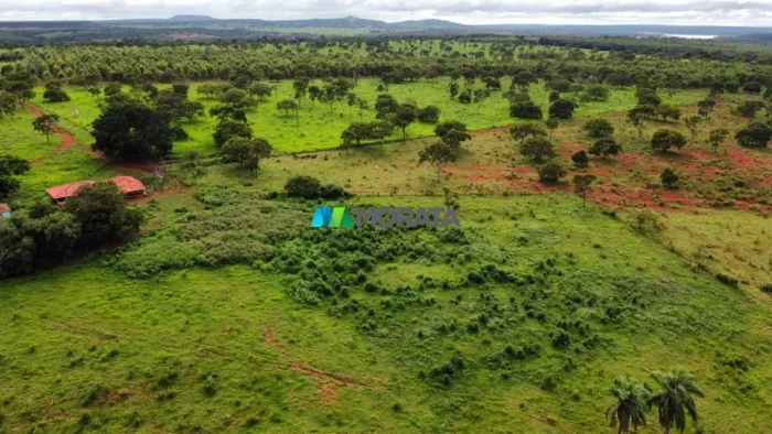 FAZENDA À VENDA - 118 HECTARES - REGIÃO DE ABAETÉ (MG)